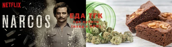 хмурый Алексин