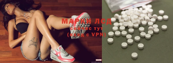 хмурый Алексин