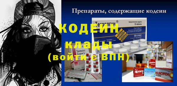 хмурый Алексин